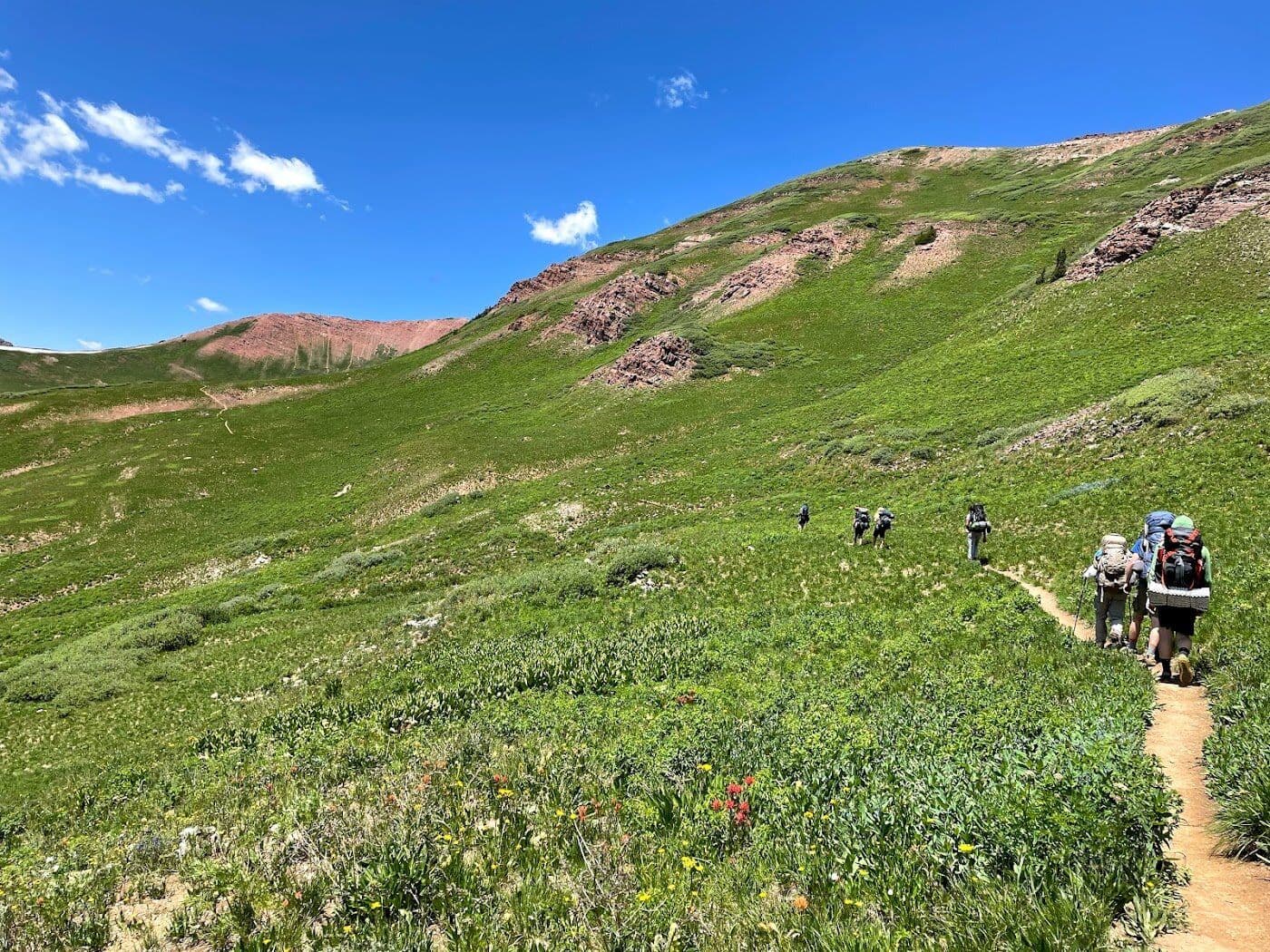 Backpackers following a trail through a high alpine meadow